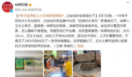 母子乱欲视频,母子乱欲视频引发的伦理风暴